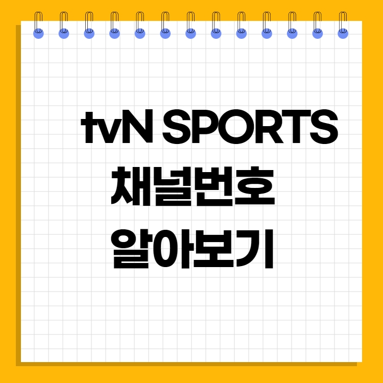 tvn sports 채널번호 티비엔스포츠 채널 편성표 실시간