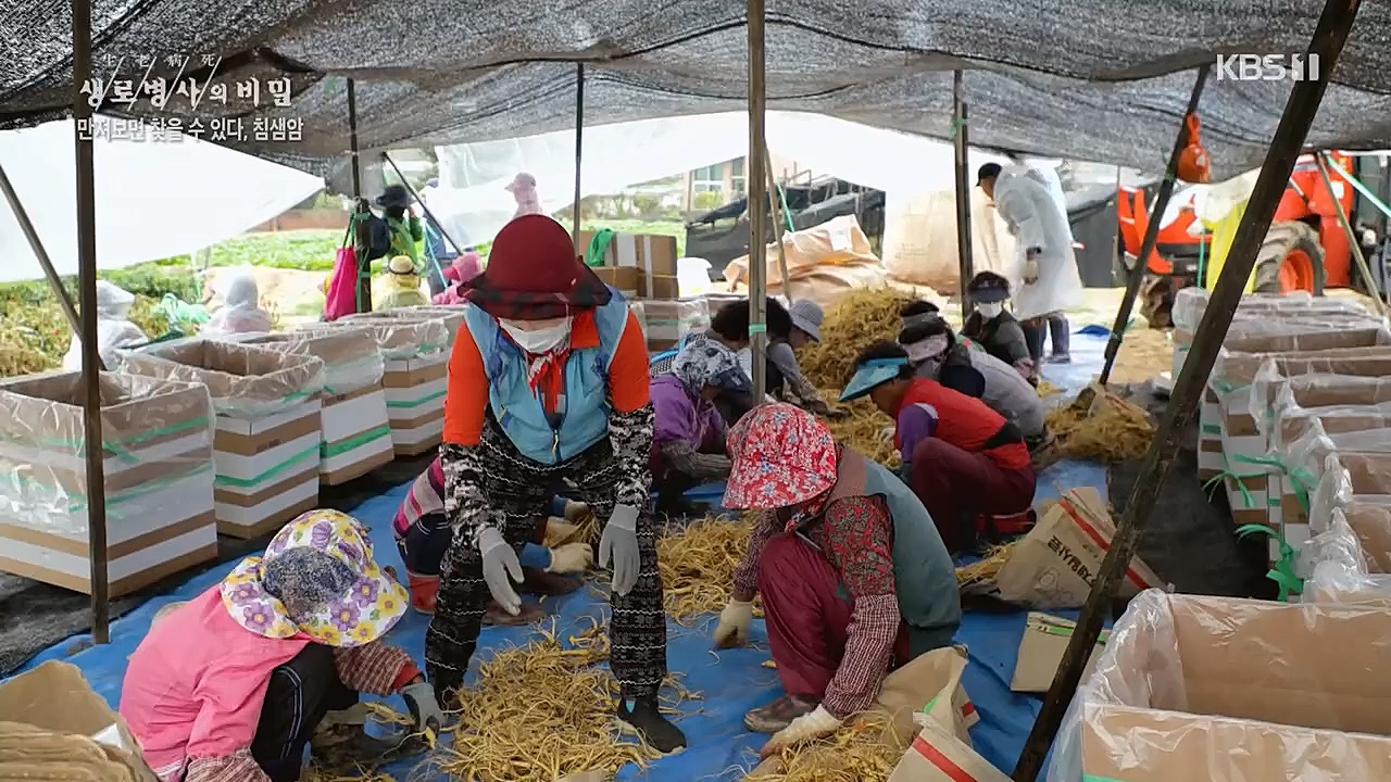 생로병사의 비밀.E851.230112p.H264-F1RST.mp4_20230119_200632.568.jpg