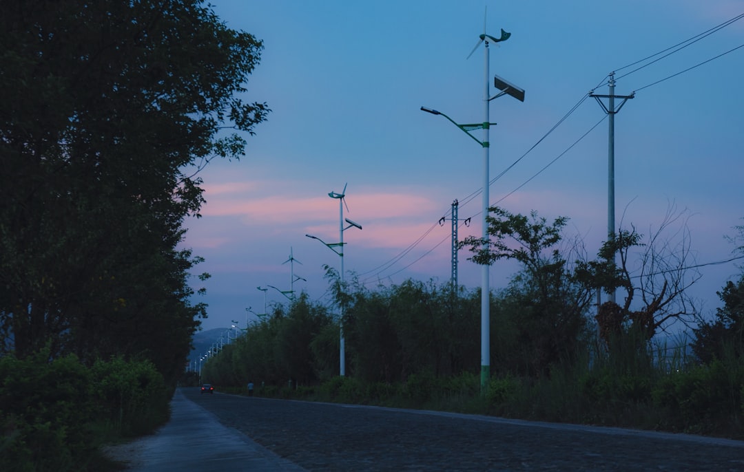 Roaming