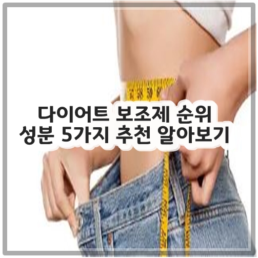 다이어트 보조제 순위 성분 5가지 추천 알아보기