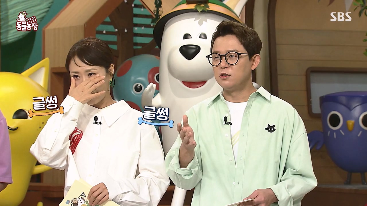 TV 동물농장.E1138.230918p-NEXT.mp4_20230917_174223.249.jpg