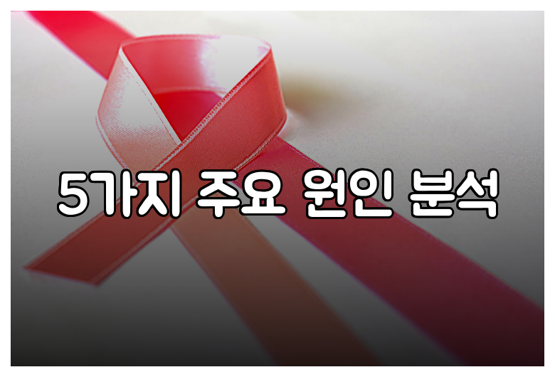 5가지 주요 원인 분석
