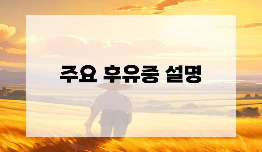 주요 후유증 설명