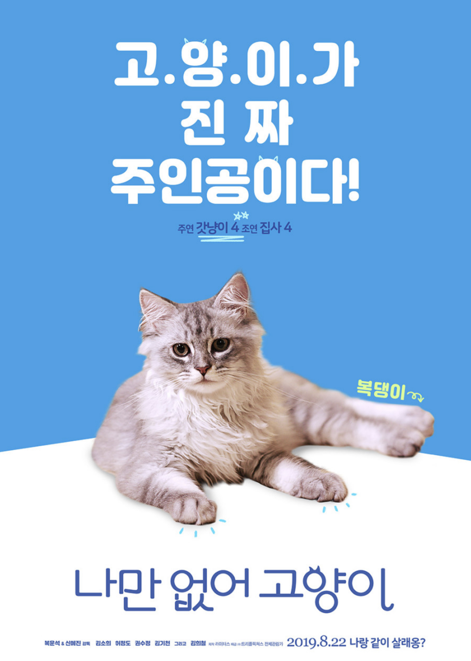 나만 없어 고양이 복댕이