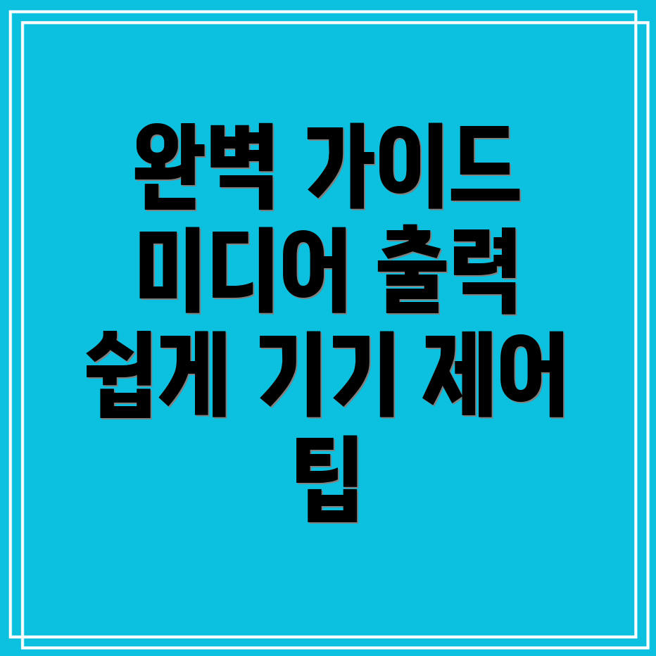 갤럭시 미디어 출력