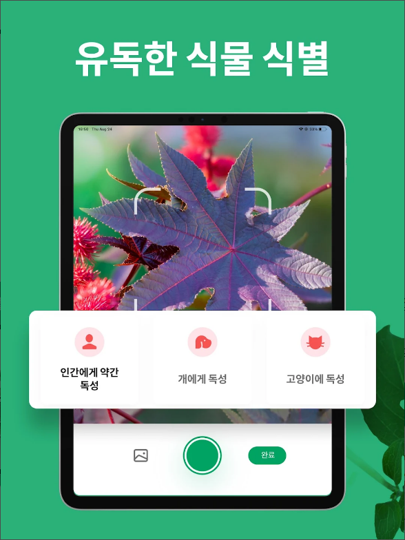 꽃 이름 찾기 어플, 사진 이미지로 꽃 찾고 검색하기