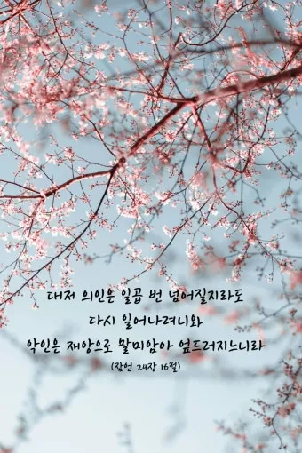 잠언 24장 솔로몬 잠언 묵상_25