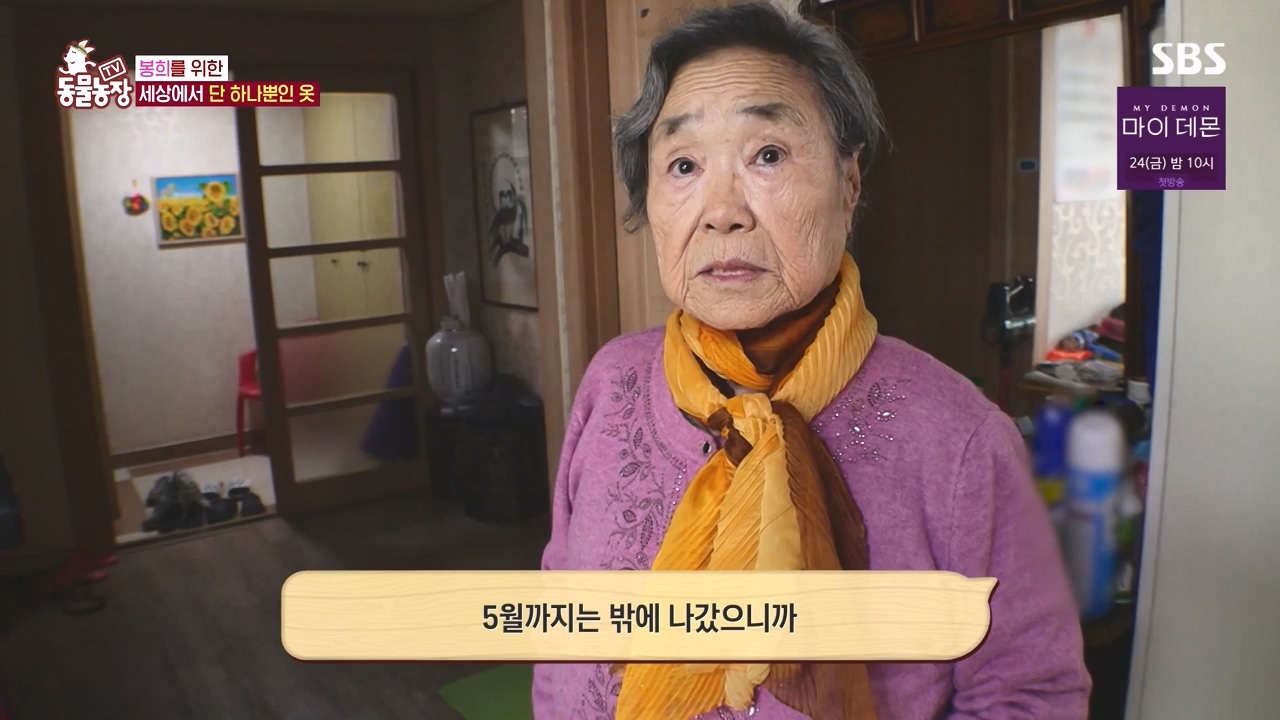 TV 동물농장.E1145.231113p-NEXT.mp4_20231112_173443.610.jpg
