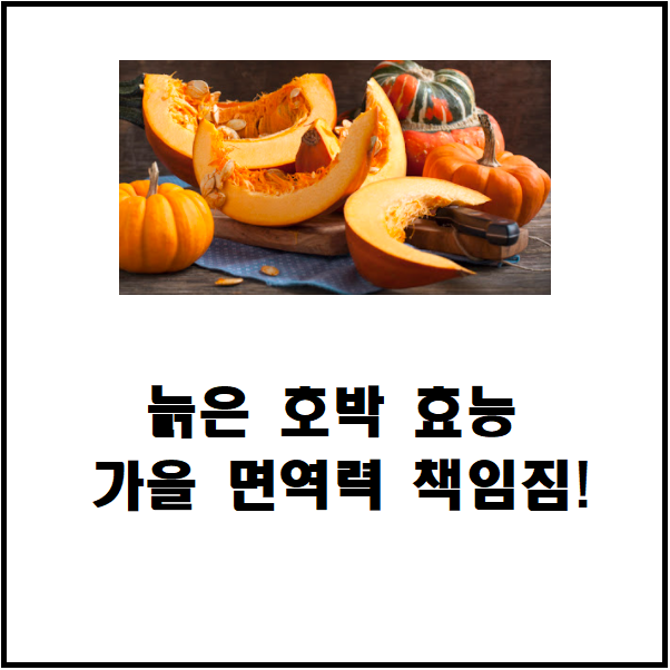  늙은호박 효능 가을철 면역력 책임짐
