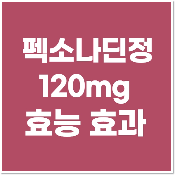  펙소나딘정120mg 성분과 효능 잘 알고 쓰세요