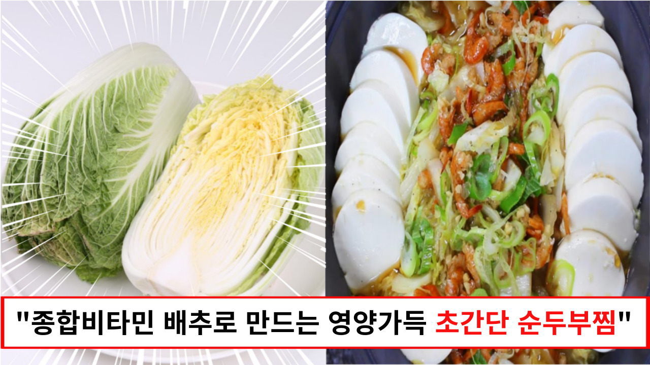"배추는 건강을 위해 항상 챙겨먹어야 하는 채소입니다" 달달아삭한 배추로 온가족이 좋아하는 배추 순두부찜 만들기