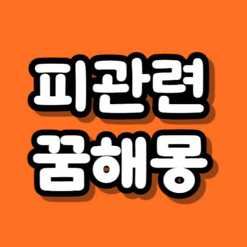 피꿈해몽