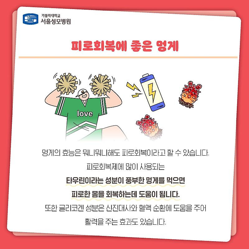 피로회복에 좋은 멍게