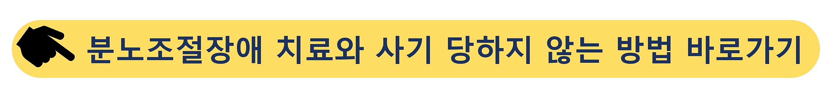 분노조절장애-치료