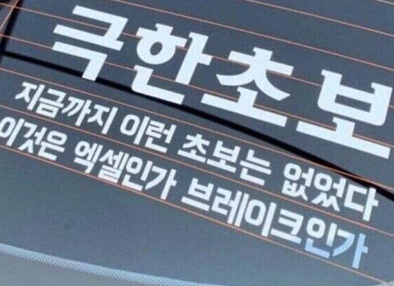  운전자 이실직고 레전드
