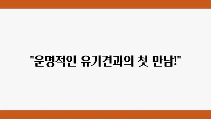 다양한 유기견의 특징
