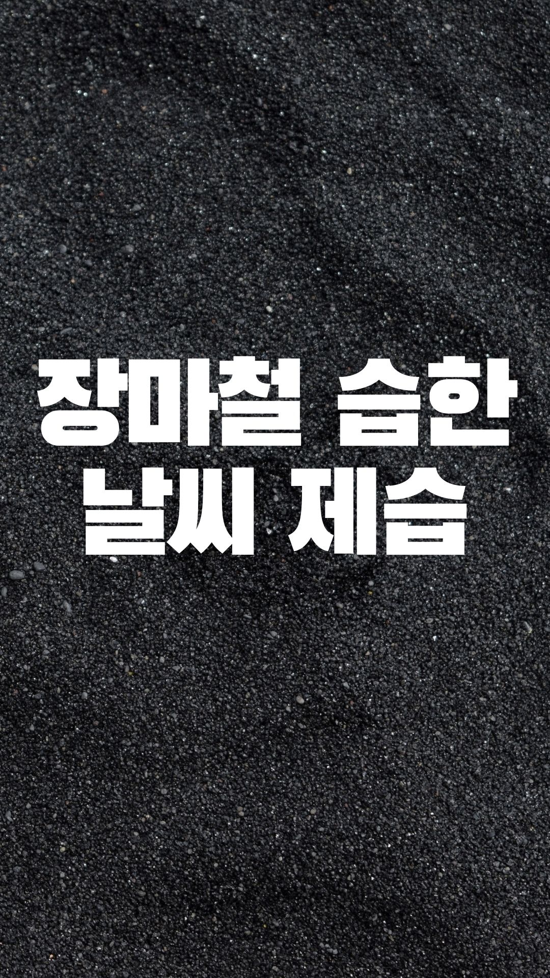  장마철 습기 많은 날