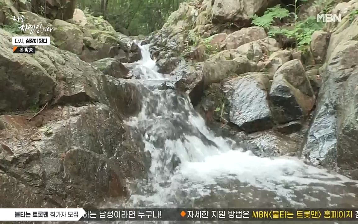 나는 자연인이다.E519.220915p-NEXT.mp4_20220915_201151.422.jpg