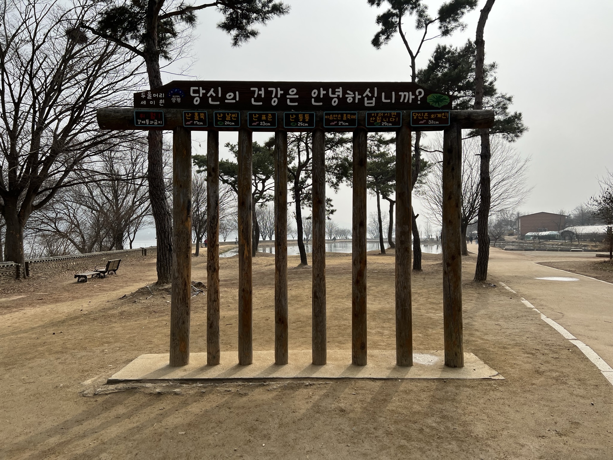 17일차 - 건강을 위해 산책, 1