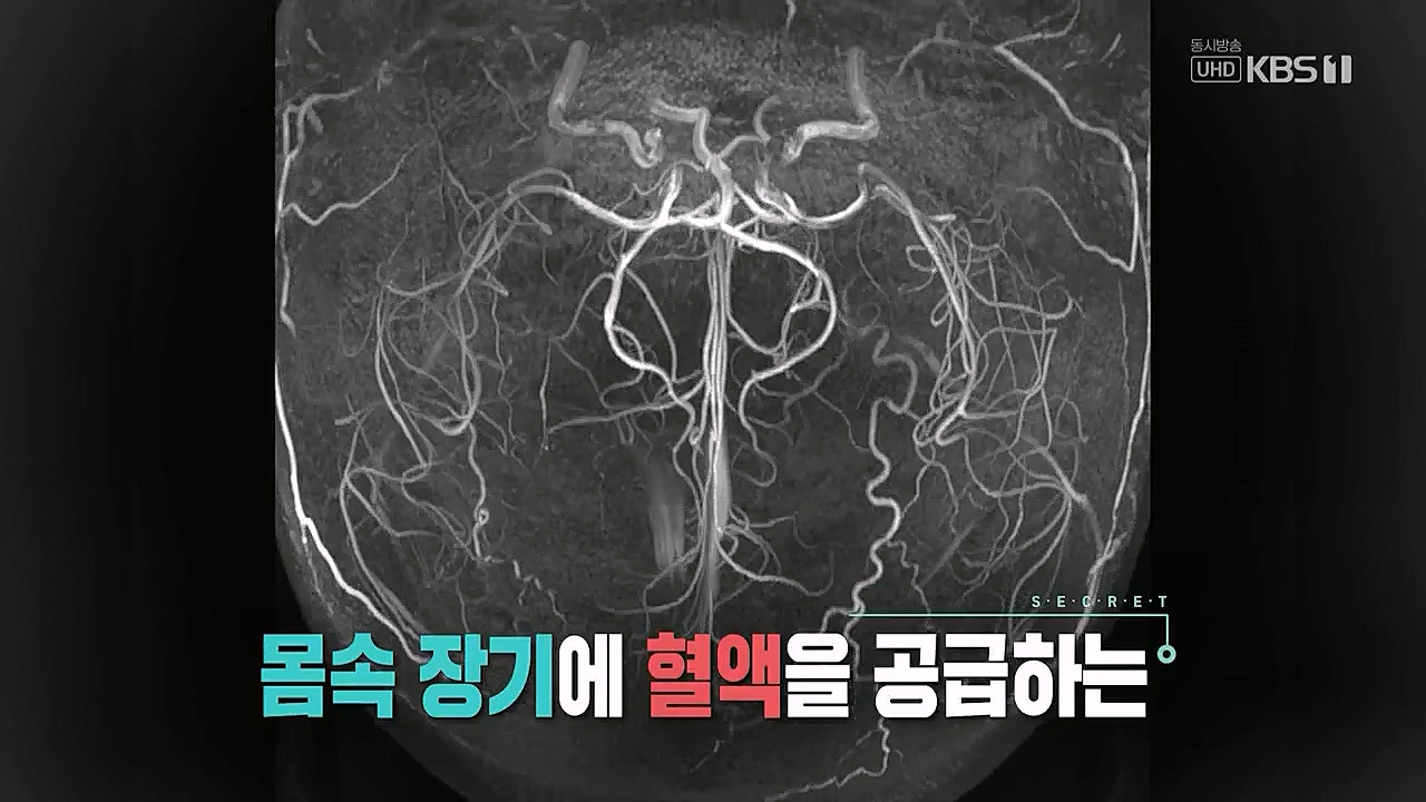 생로병사의비밀.E862.230309p.WANNA.mp4_20230309_191949.451.jpg