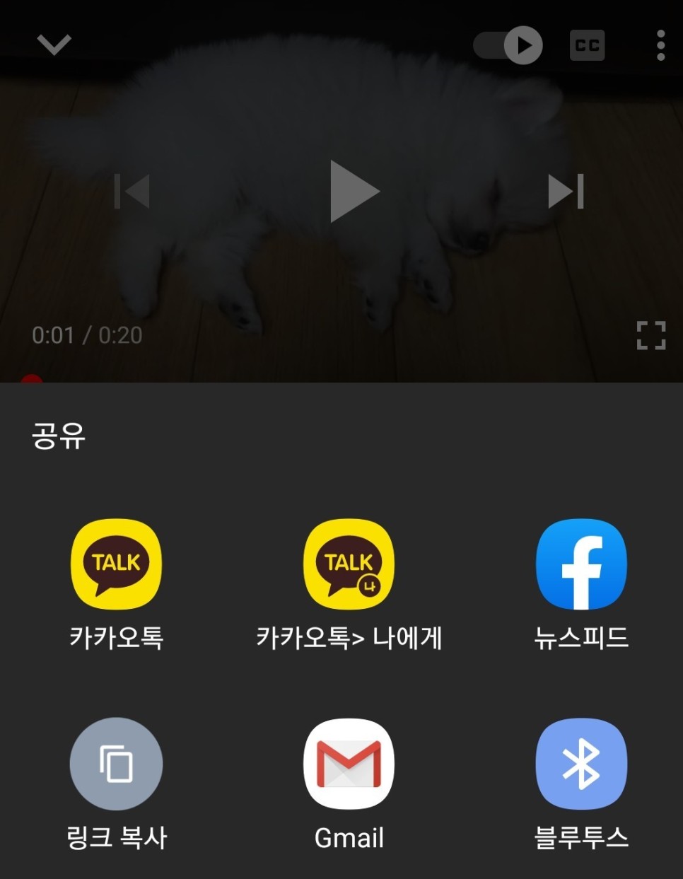 추출포인트!!! (Feat. y2m ate, 주소앞에 ss, 동영상다운로드, 클립다운, 푸딩TV) 모바일 유튜브 동영상 저장&음원 12