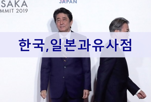  한국경제, 일본과 유사한점과다른점
