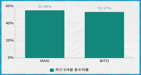 MAXI BITO 6개월 총수익률 비교