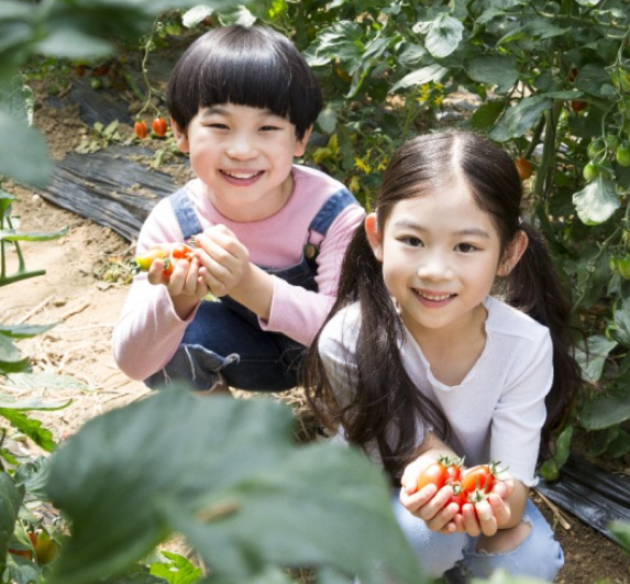 도시아이들을 위한 자연놀이 대체 환경