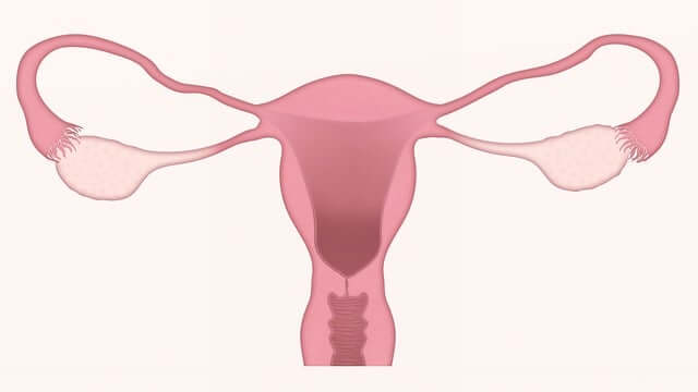 자궁경부암 무료검진