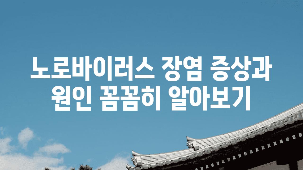 노로바이러스 장염 증상과 원인 꼼꼼히 알아보기