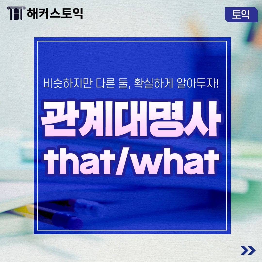  관계대명사 that/what 확실하게 알아두자!