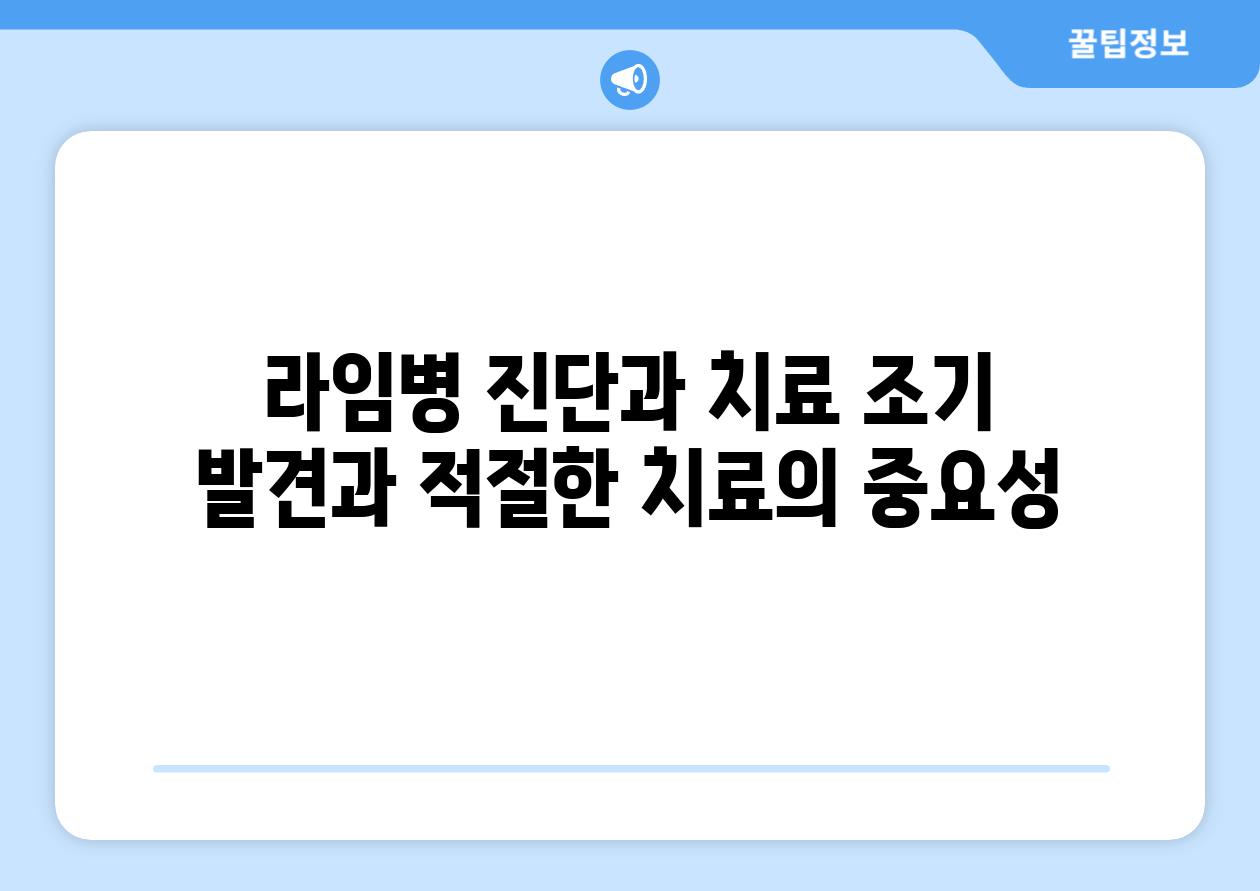 라임병 진단과 치료 조기 발견과 적절한 치료의 중요성