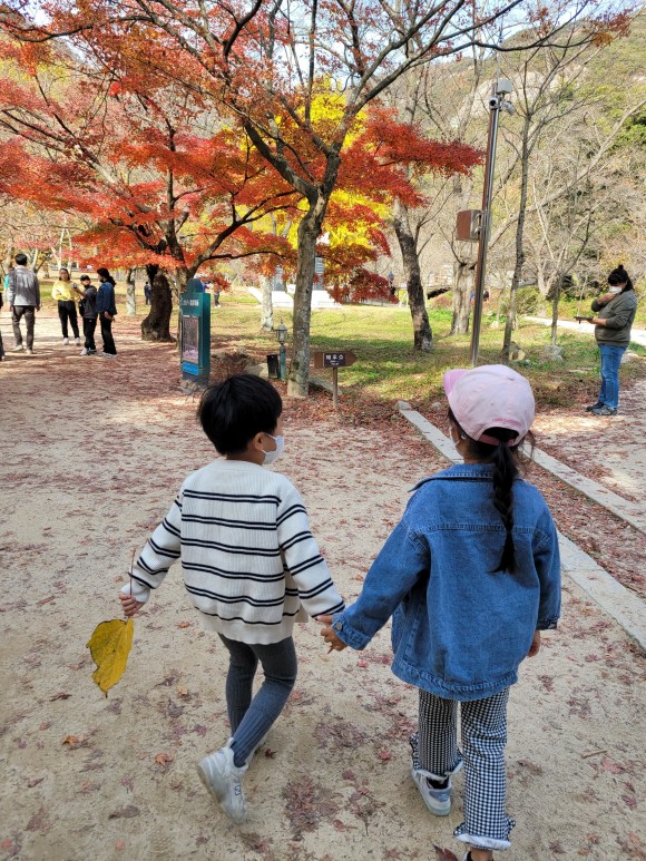 네소사 단풍 아이와 가족들이 w. 고사포 해수욕장 전북의 볼거리, 부안 8