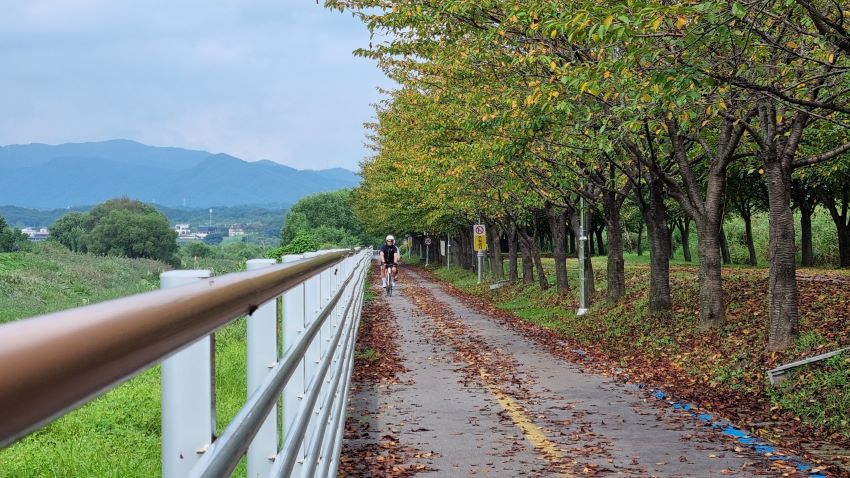 낙엽 쌓인 자전거길&#44; 달려오는 자전거 1&#44; 왼쪽에 안전난간&#44; 흰색 철봉&#44; 우측 가로수길은 산책로&#44;