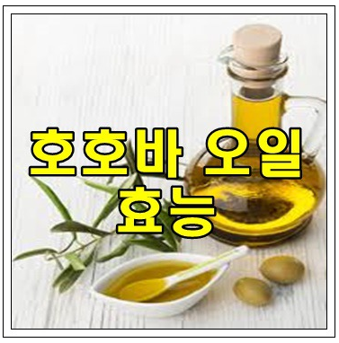  호호바오일 효능 핵심만