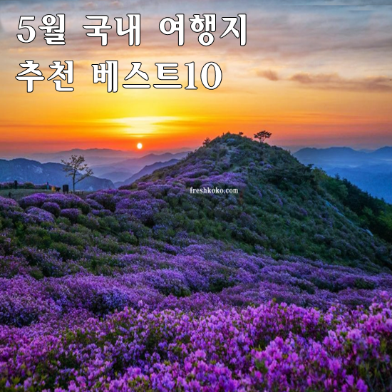 5월 국내 여행지 추천 베스트10