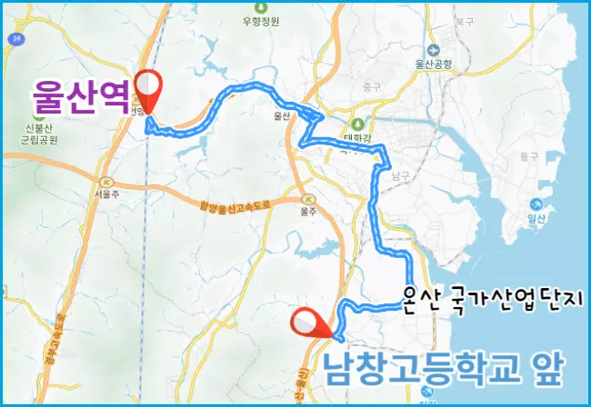 5004번-버스-경로
