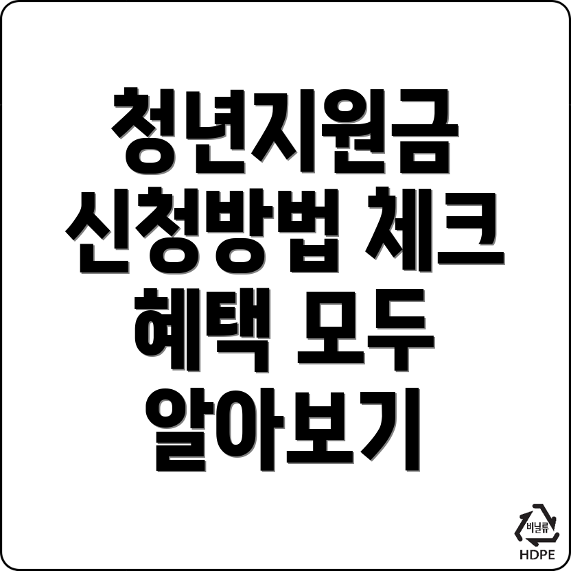 청년지원금