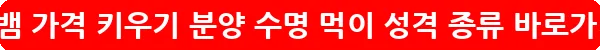 도마뱀 가격 키우기 분양 수명 먹이 성격 종류_10