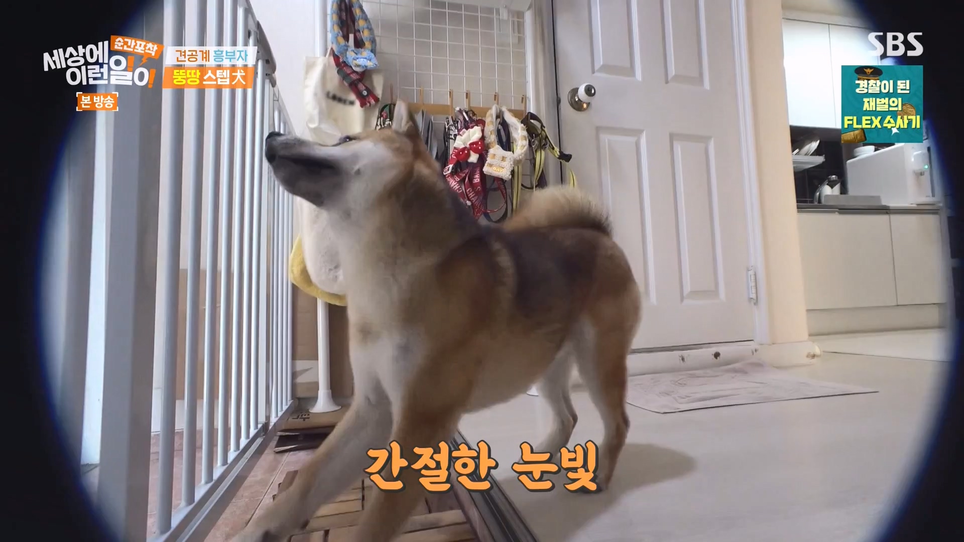 순간포착 세상에 이런일이.E1261.240120p-NEXT.mp4_20240121_133931.841.jpg