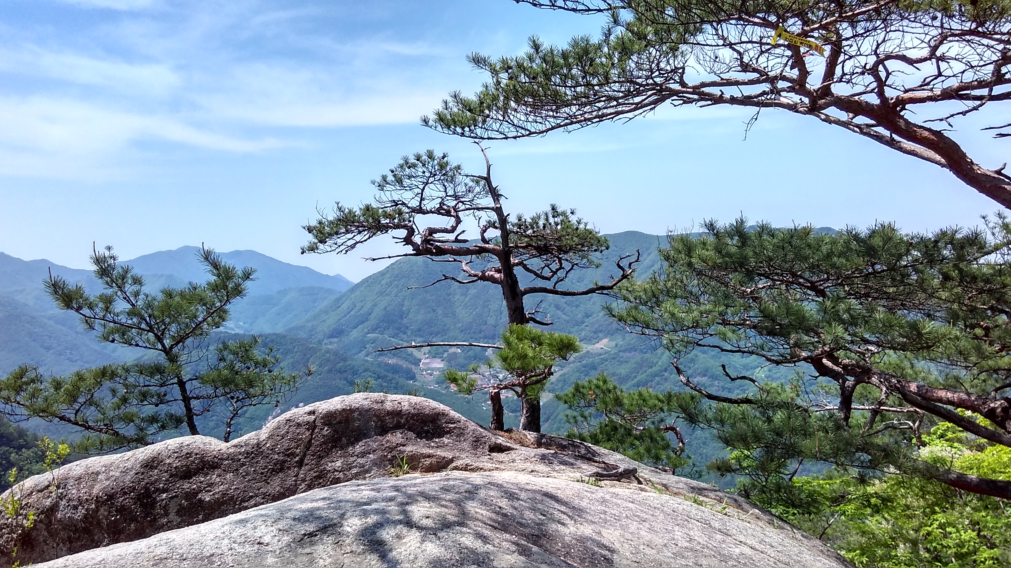 단양 도락산 산행