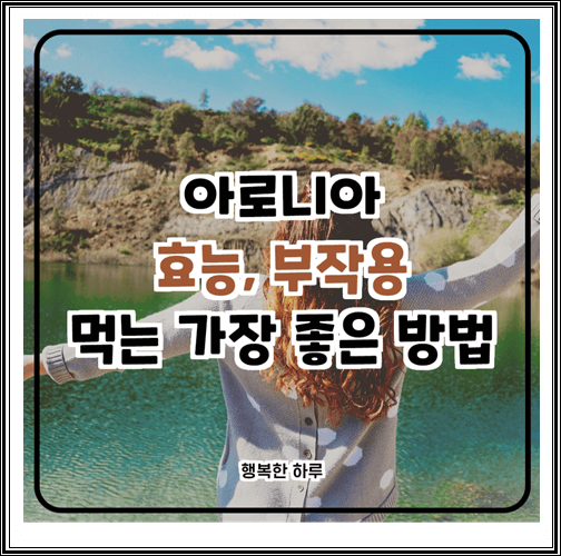  아로니아 효능 및 부작용, 먹는 가장 좋은 방법 알아보기