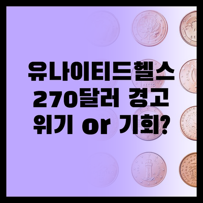 유나이티드헬스그룹, 270달러 추락 