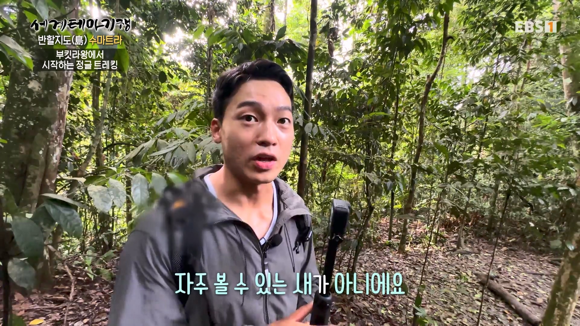 세계테마기행.230731.반할지도(島) 수마트라-1.북수마트라 제대로 즐기기.mp4_20230820_122426.871.jpg