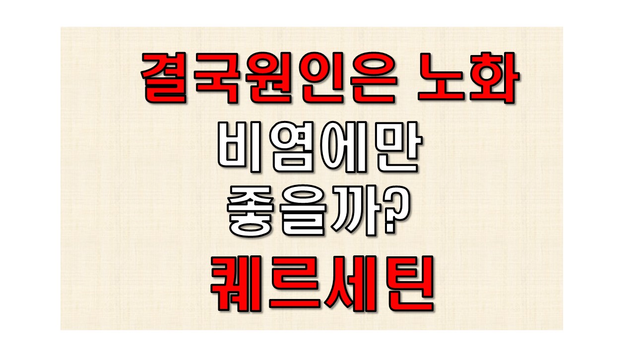  퀘르세틴 이란 퀘르세틴효능 5가지 퀘르세틴섭취방법부작용
