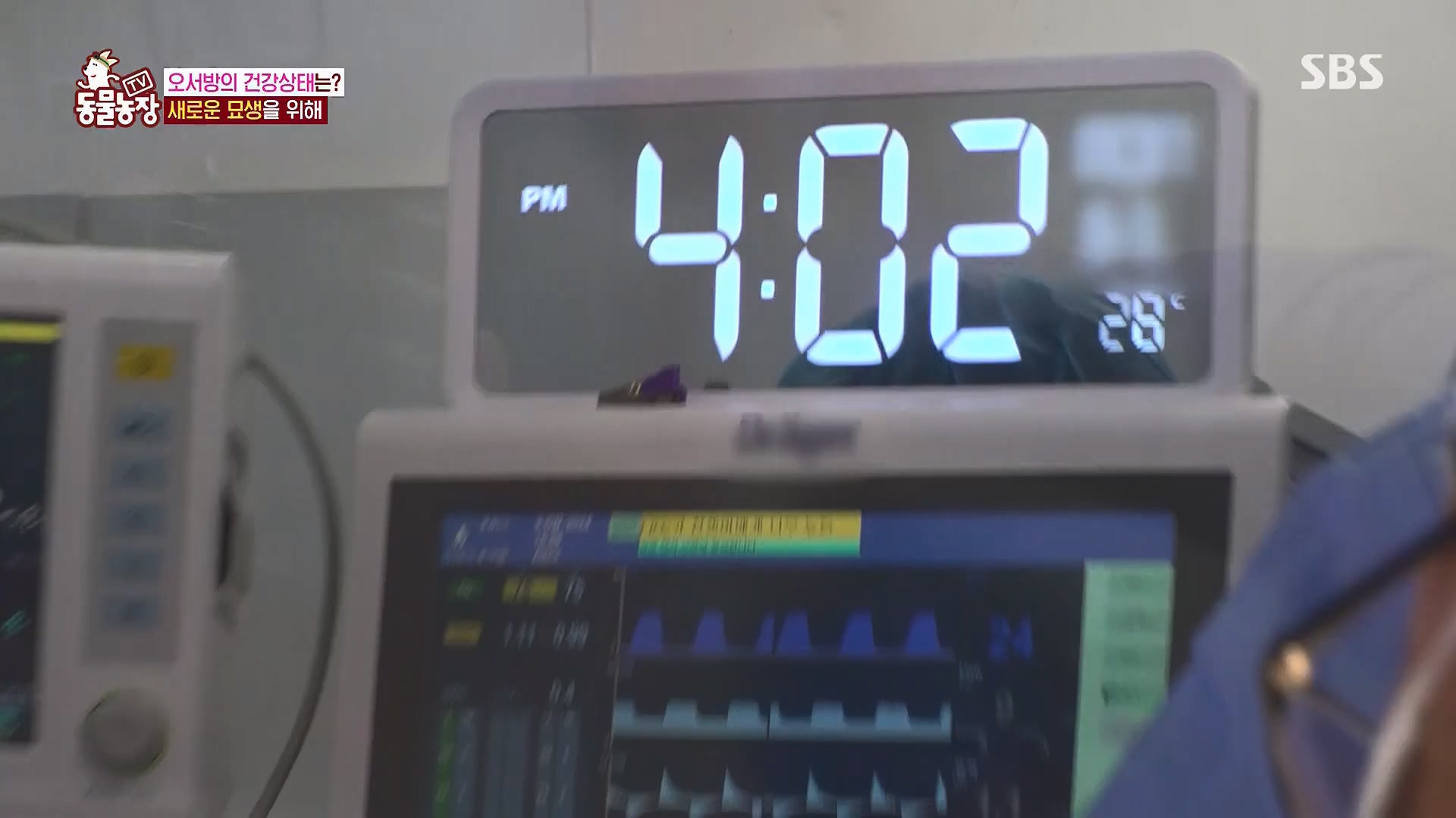 TV 동물농장.E1180.240714p.H264-F1RST.mp4_20240715_201741.323.jpg