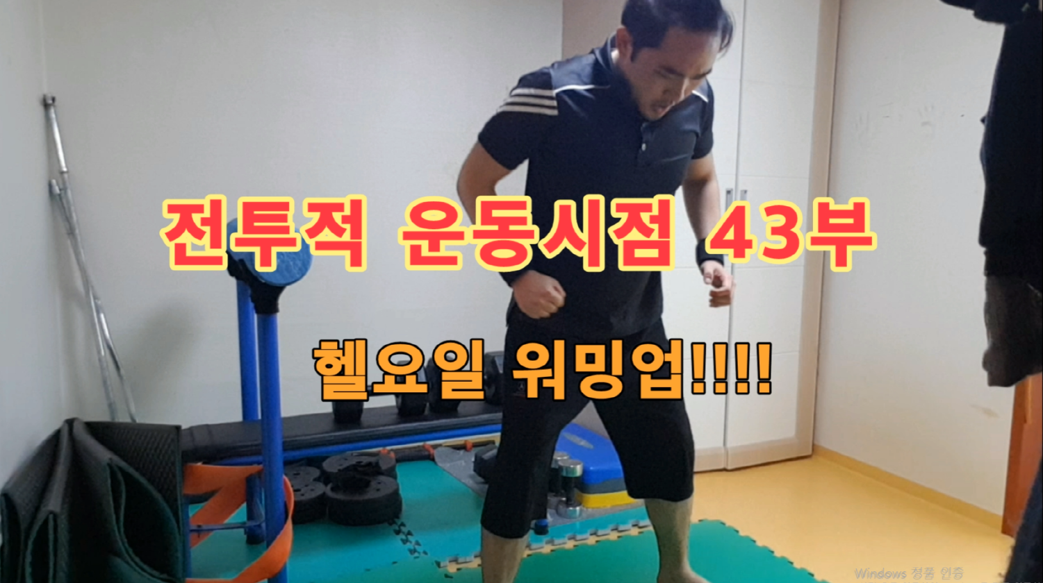  전투적 운동시점 43부