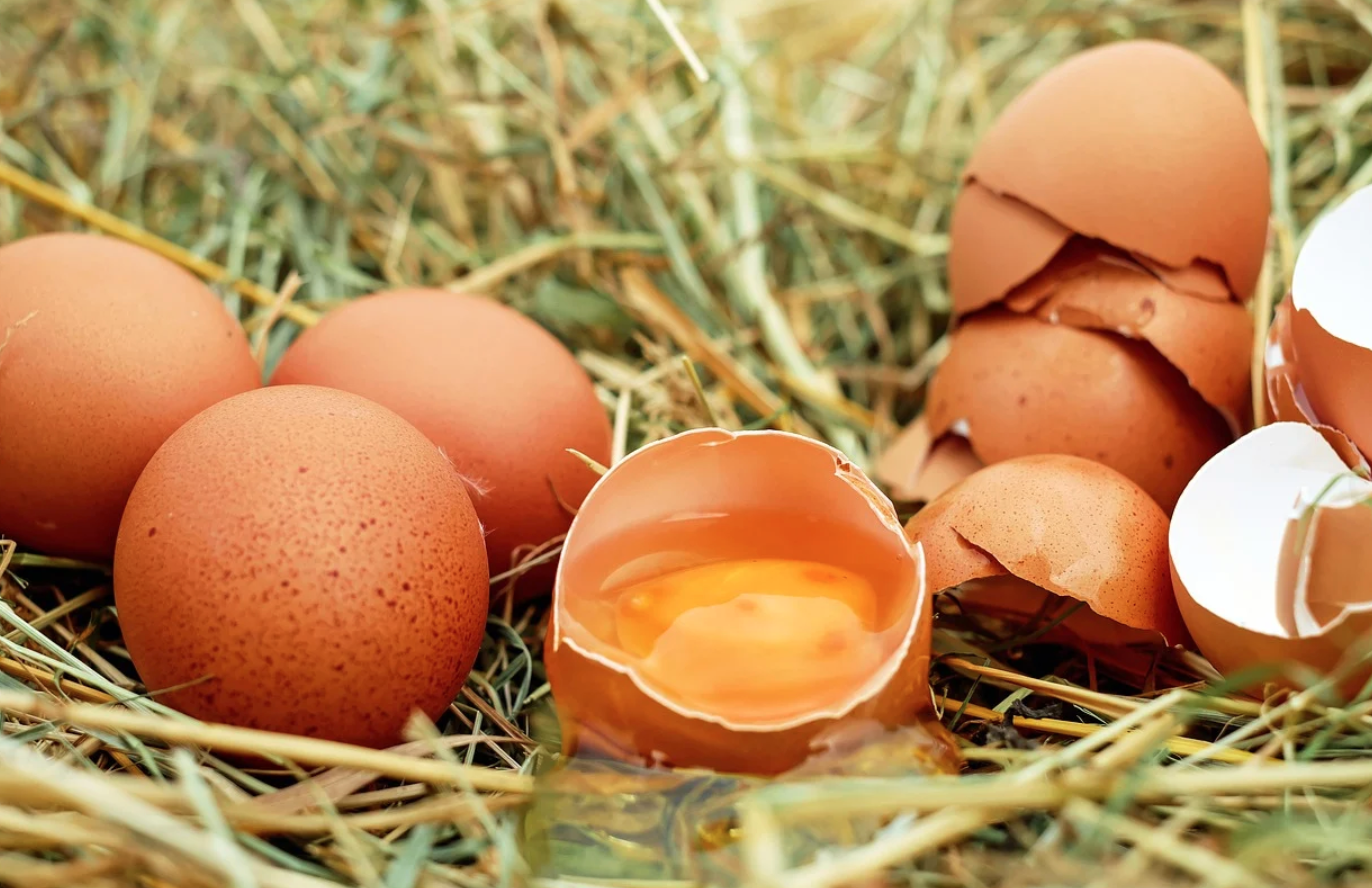 레시틴 효능과 부작용 알아보아요! 5