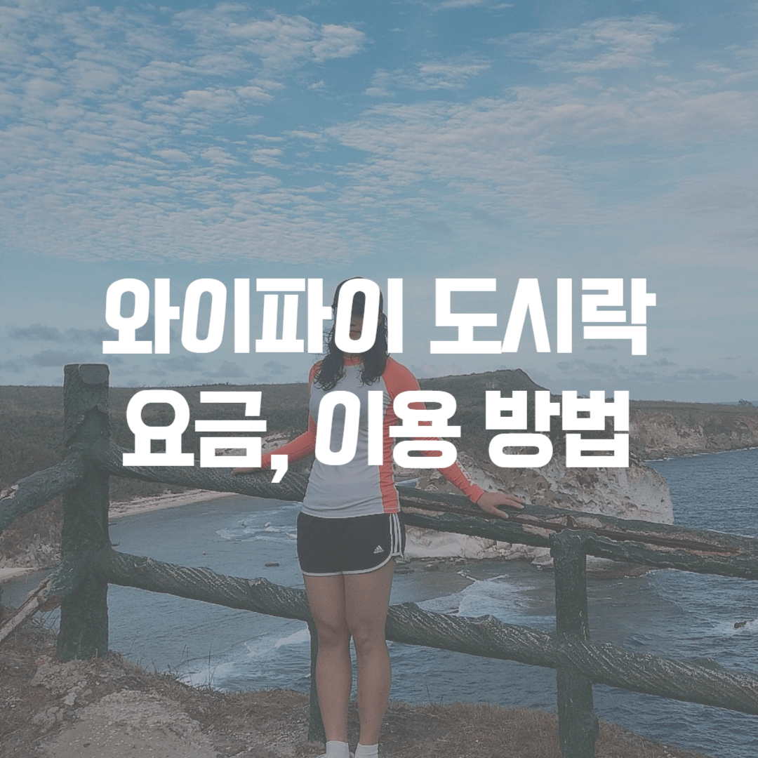 와이파이 도시락 요금&#44; 이용 방법