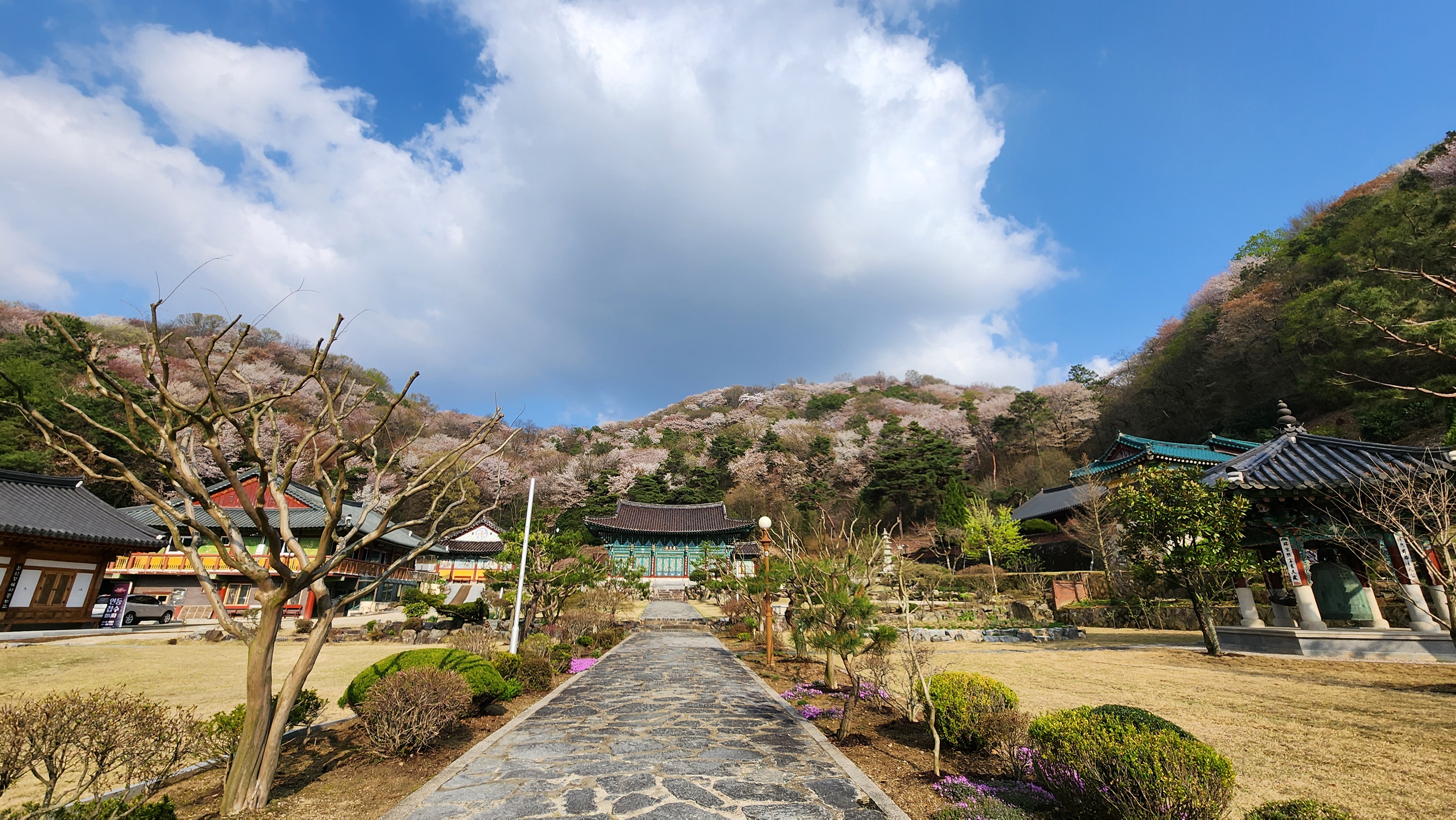 2024.04.05_전주 럭셔리크로우